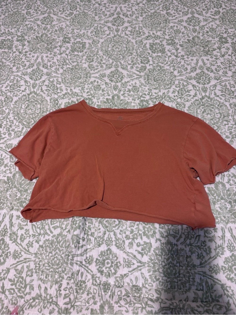 Aerie Rust Cropped Tee - Short Sleeve Casual Top